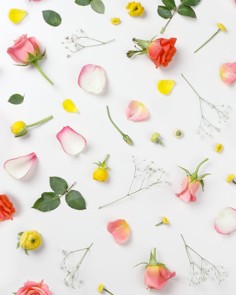 Fleurs séchées cosmétiques DIY
